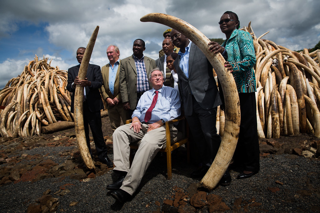 Richard Leakey anti poaching, elephant tusks and ivory