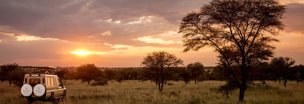 Tanzania safari sunrise